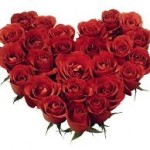 Kado Valentine Romantis Untuk Orang Tersayang-Mawar Merah